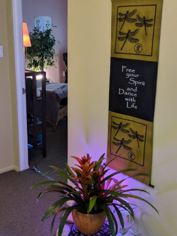 Dr Bob Seiler Office